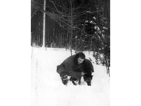 Foto 15